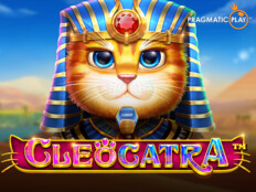 Cats casino93